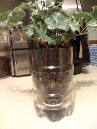 pot tanaman botol plastik daur ulang Homemade sub-irrigation planter attempt #1: success.